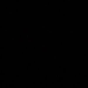 Meet your Posher, Timmesha